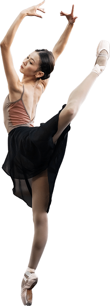 Leçons de ballet Saint-Hilaire